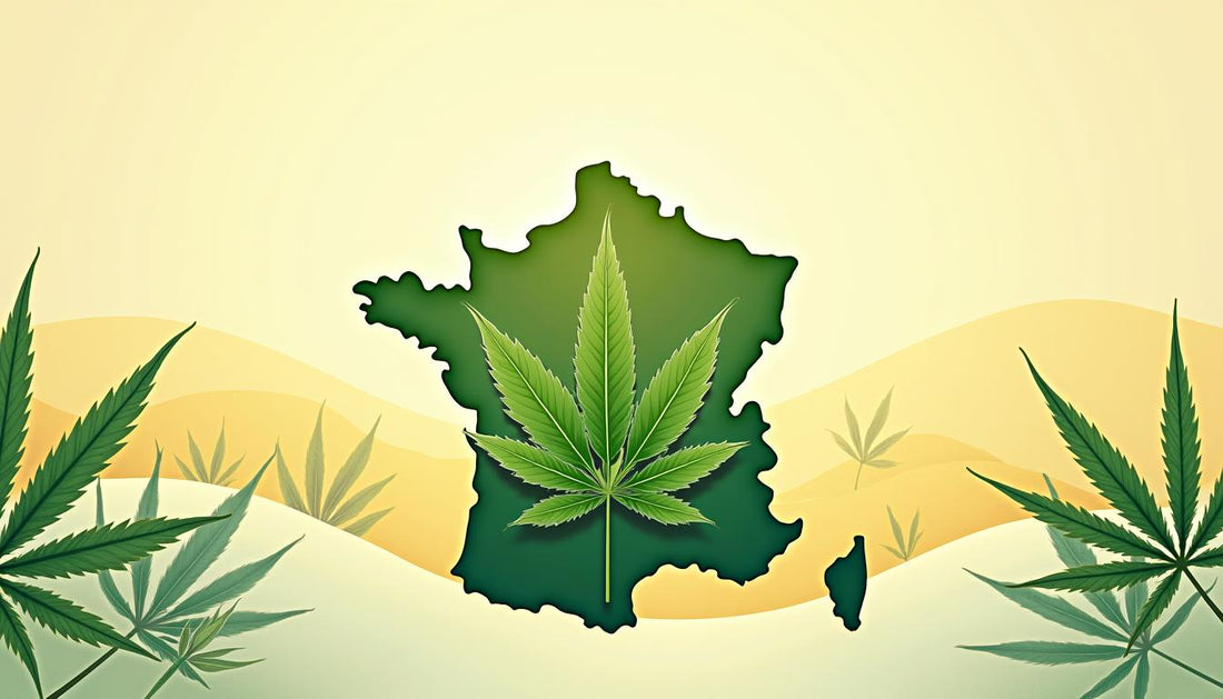 CBD FRENCH FRANCE LIGHT MAFRENCHWEED