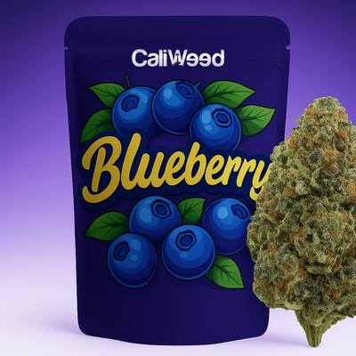 Blueberry CBD