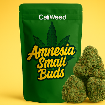 Amnesia Small Buds