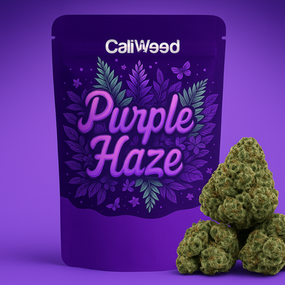 Purple Haze Small Buds