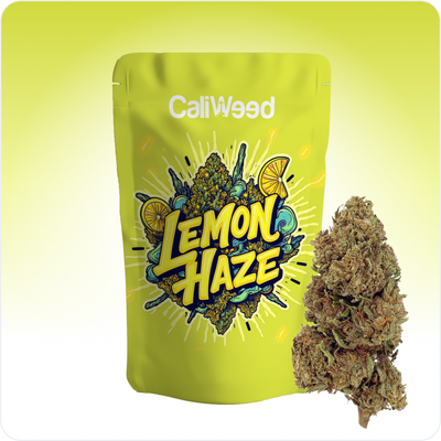 Lemon Haze CBD