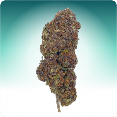 Northern Light Blue CBD