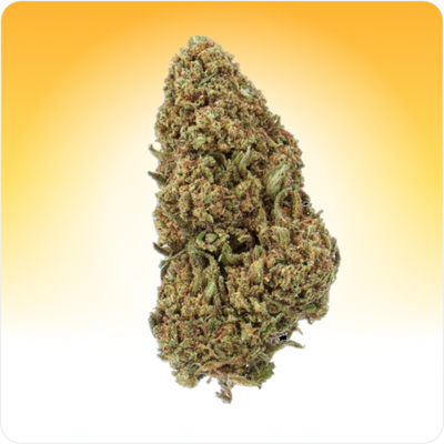Orange Bud CBD