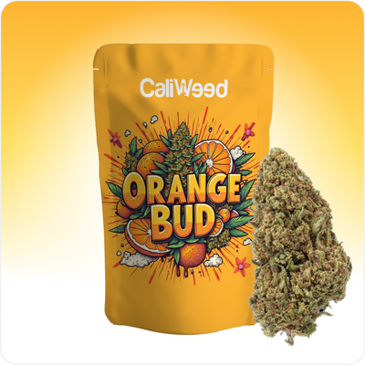 Orange Bud CBD
