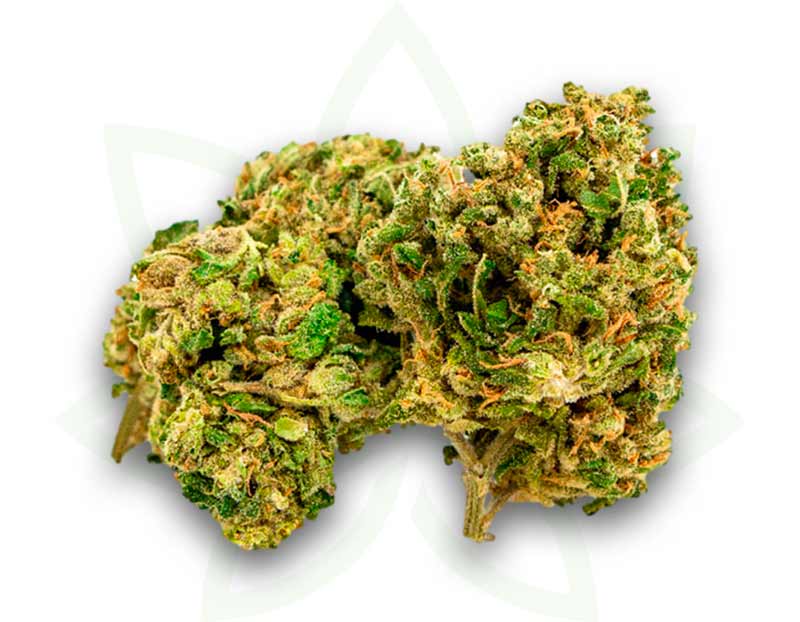 cbd flower nyc diesel indoor 3 5 10 20 50 grams mafrenchweed 2