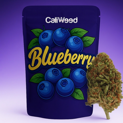 Blueberry CBD