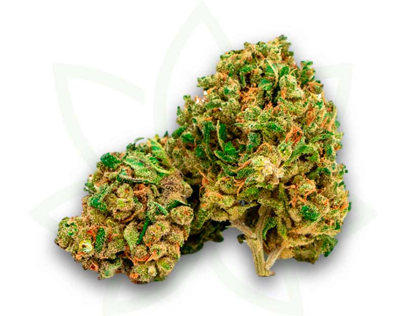 flower cbd nyc diesel indoor 3 5 10 20 50 grams mafrenchweed 1