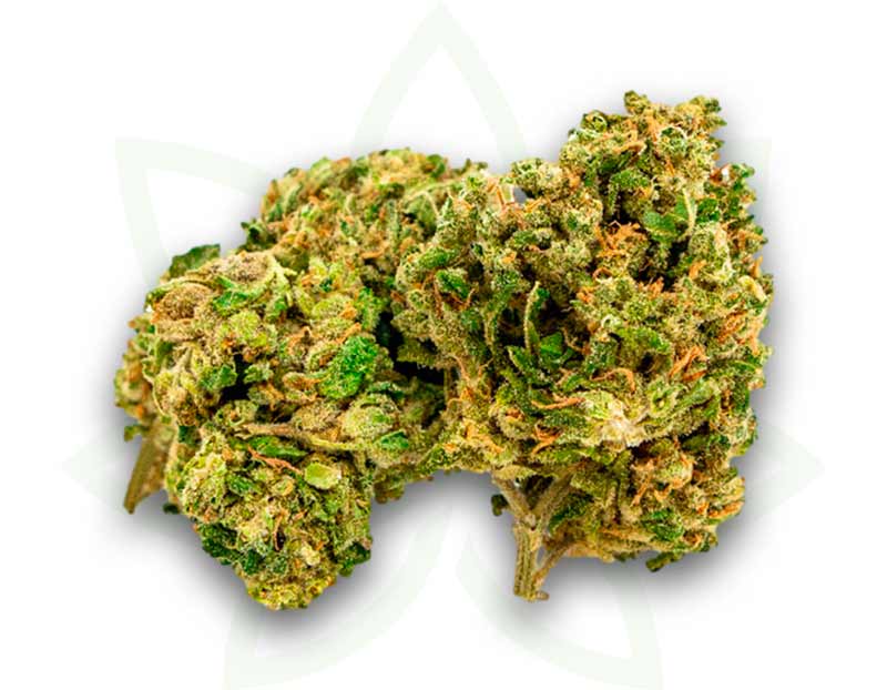 flower cbd nyc diesel indoor 3 5 10 20 50 grams mafrenchweed 2