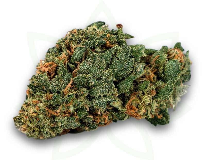 flower cbg blue cheese indoor 3 5 10 20 50 grams mafrenchweed 1